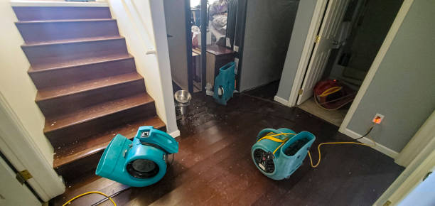 Best Water damage restoration near me  in Pelican Bay, TX