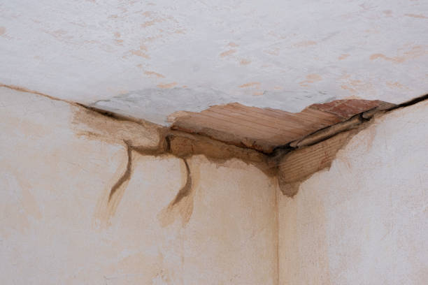 Best Flooded house restoration  in Pelican Bay, TX