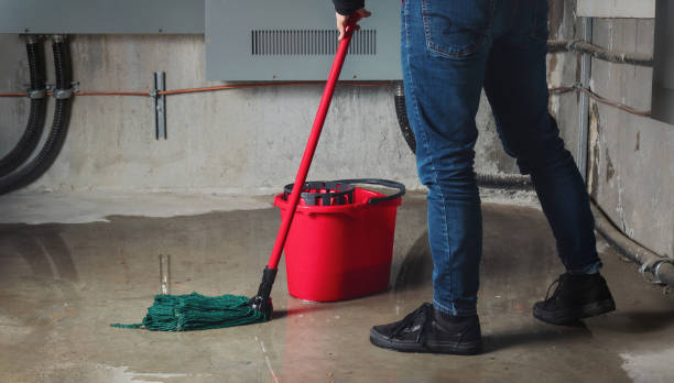 Best Water damage mitigation services  in Pelican Bay, TX