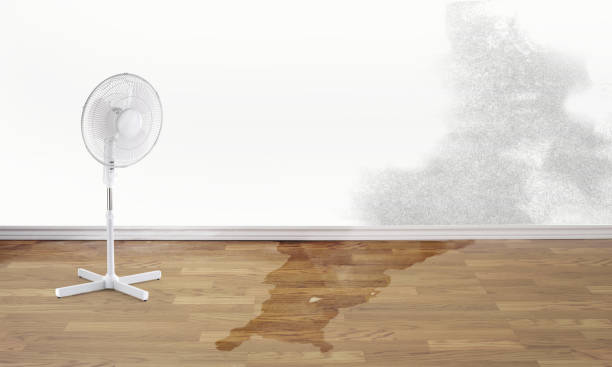 Best Residential water damage restoration  in Pelican Bay, TX