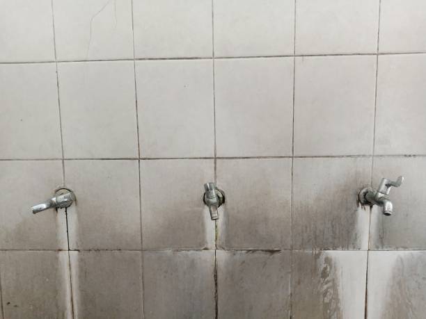 Best Emergency water extraction  in Pelican Bay, TX