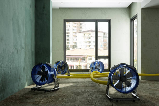 Best Flood damage cleanup  in Pelican Bay, TX