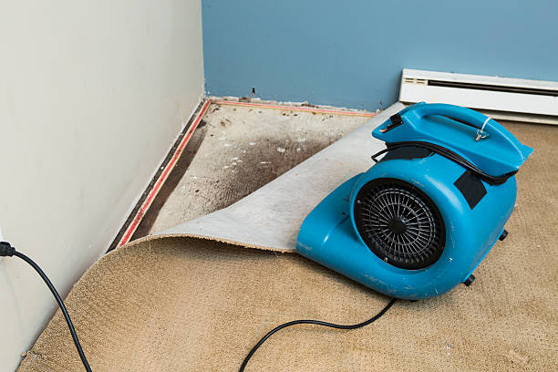 Best Water damage restoration near me  in Pelican Bay, TX